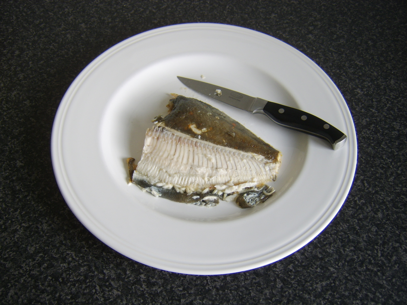 A Guide To Sea Fishing The West Of Scotland And Cooking Your Catch