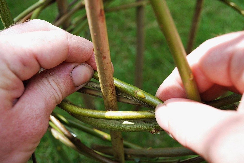 Simon Hill Green Wood Carving Willow Obelisks.