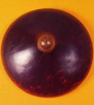 Dhal Shield