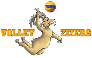 Volley Zizers - News