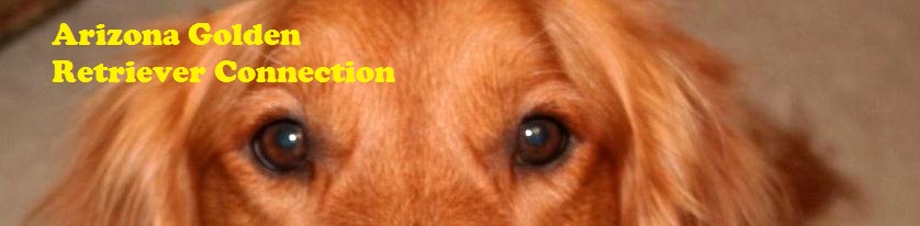 Arizona Golden Retriever Connection