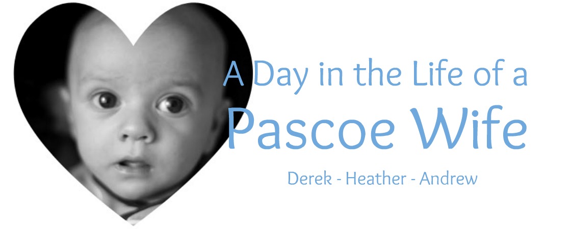 A Day in the Life of a Pascoe Wife