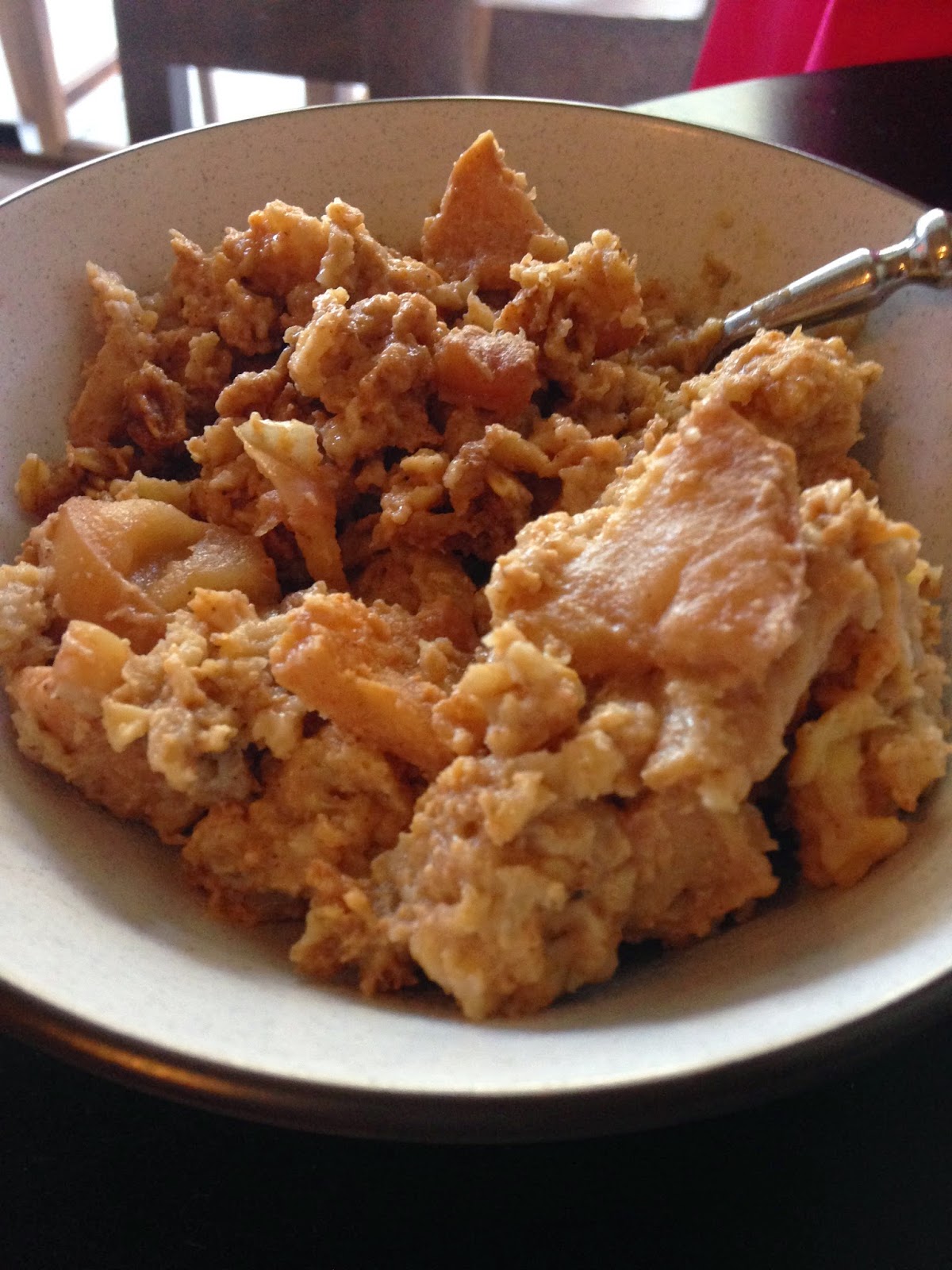 Apple Pie Protein Oatmeal Hamilton Beach review