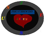 Emblema Jesus Me Guia