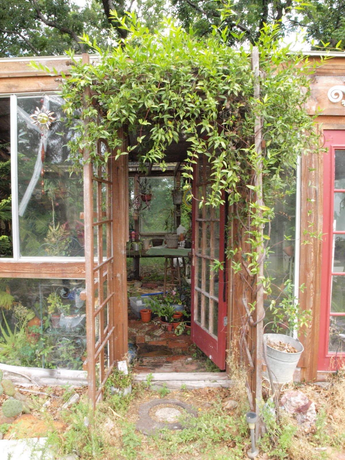 Flights of Whimsy House Tour My Mom's Greenhouse
