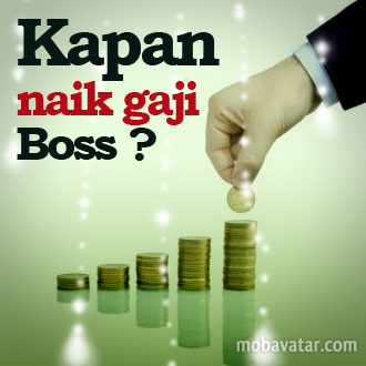 SE Kenaikan Gaji PNS 2013 | Asa Terbaru