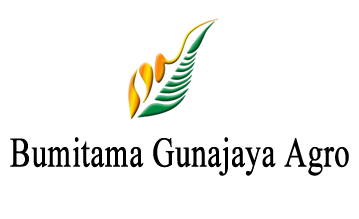 Recruitment PT. Bumitama Gunajaya Agro (BGA Group)