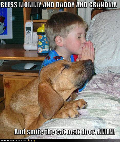 Boy and Dog Praying