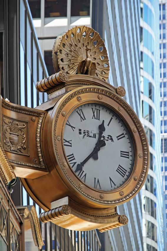 Public Art in Chicago Loop Peacock Clock