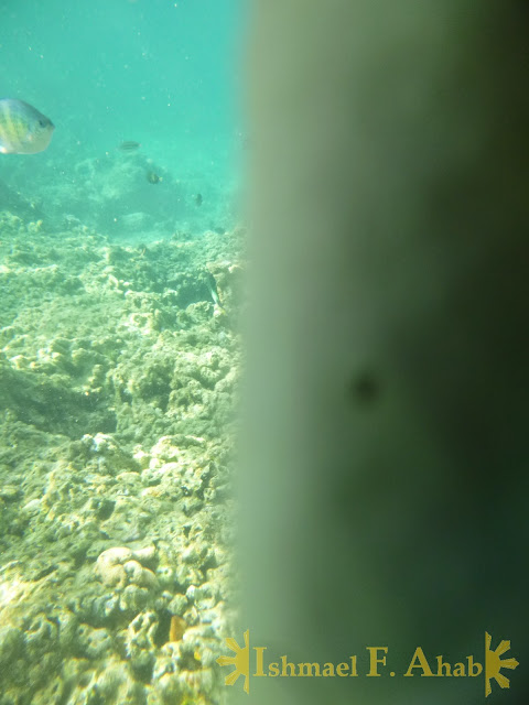 My fail underwater shot in Honda Bay, Puerto Princesa, Palawan