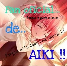 SOY FAN DE AIKI