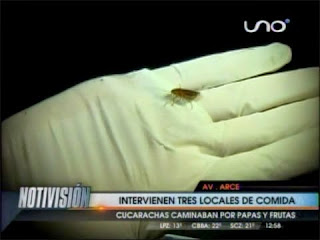 Hallan insectos vctores en patio de comidas del Multicine