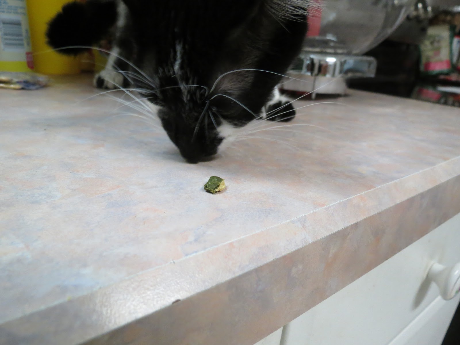 Lil' Blog and More Feline Greenies Smart Bites Review