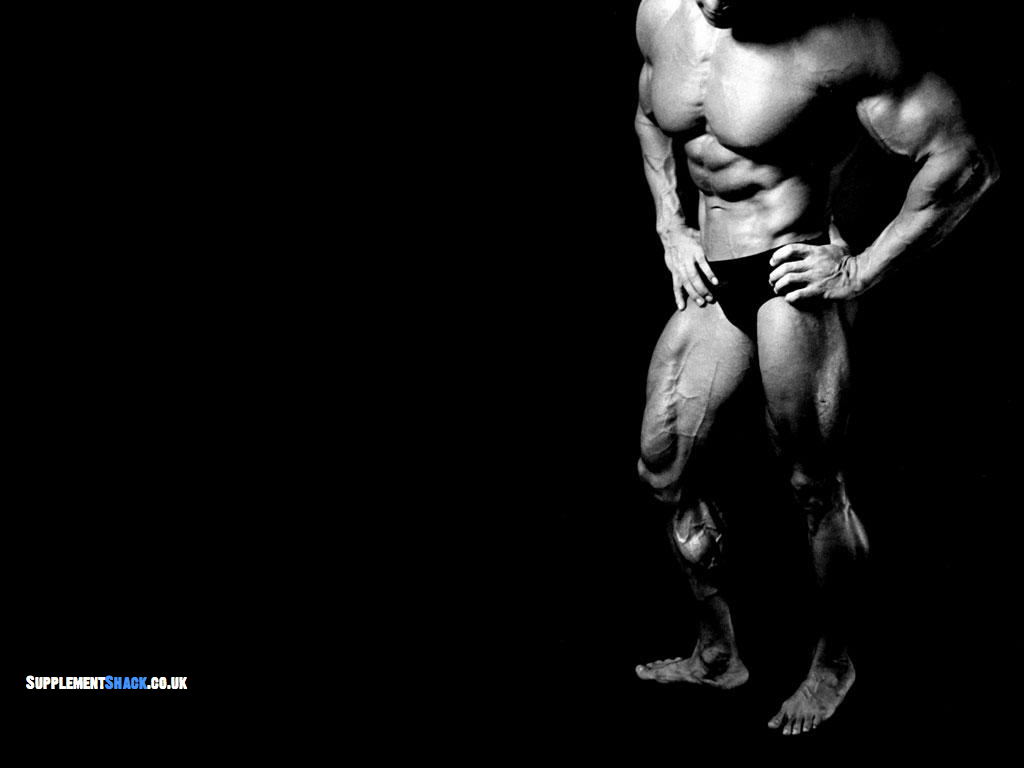 Bodybuilding Wallpaper Arnold Conquer