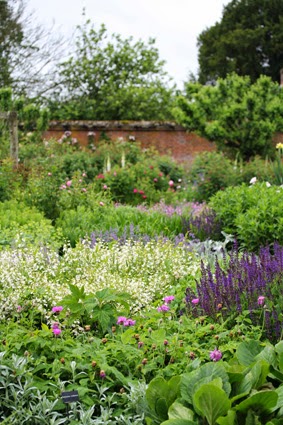 it really is one of the most beautiful rose gardens in the world - Most Beautiful Rose Gardens In The World it really is one of the most beautiful rose gardens in the world - Most Beautiful Rose Gardens In The World