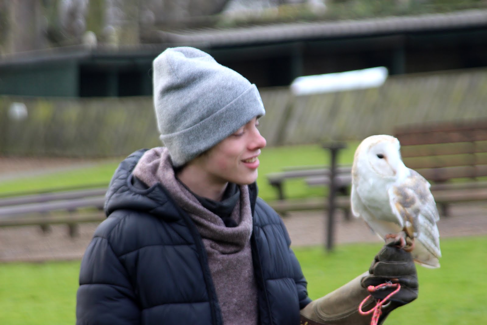 Fundraising for the BTO Owl Appeal