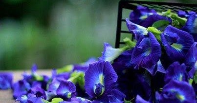 รูปภาพที่เกี่ยวข้อง