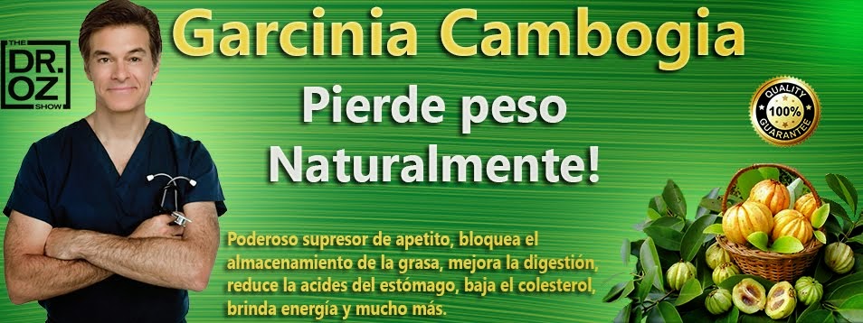 tips para bajar de peso sin hacer dieta Plan tips para bajar de peso sin hacer dieta apio