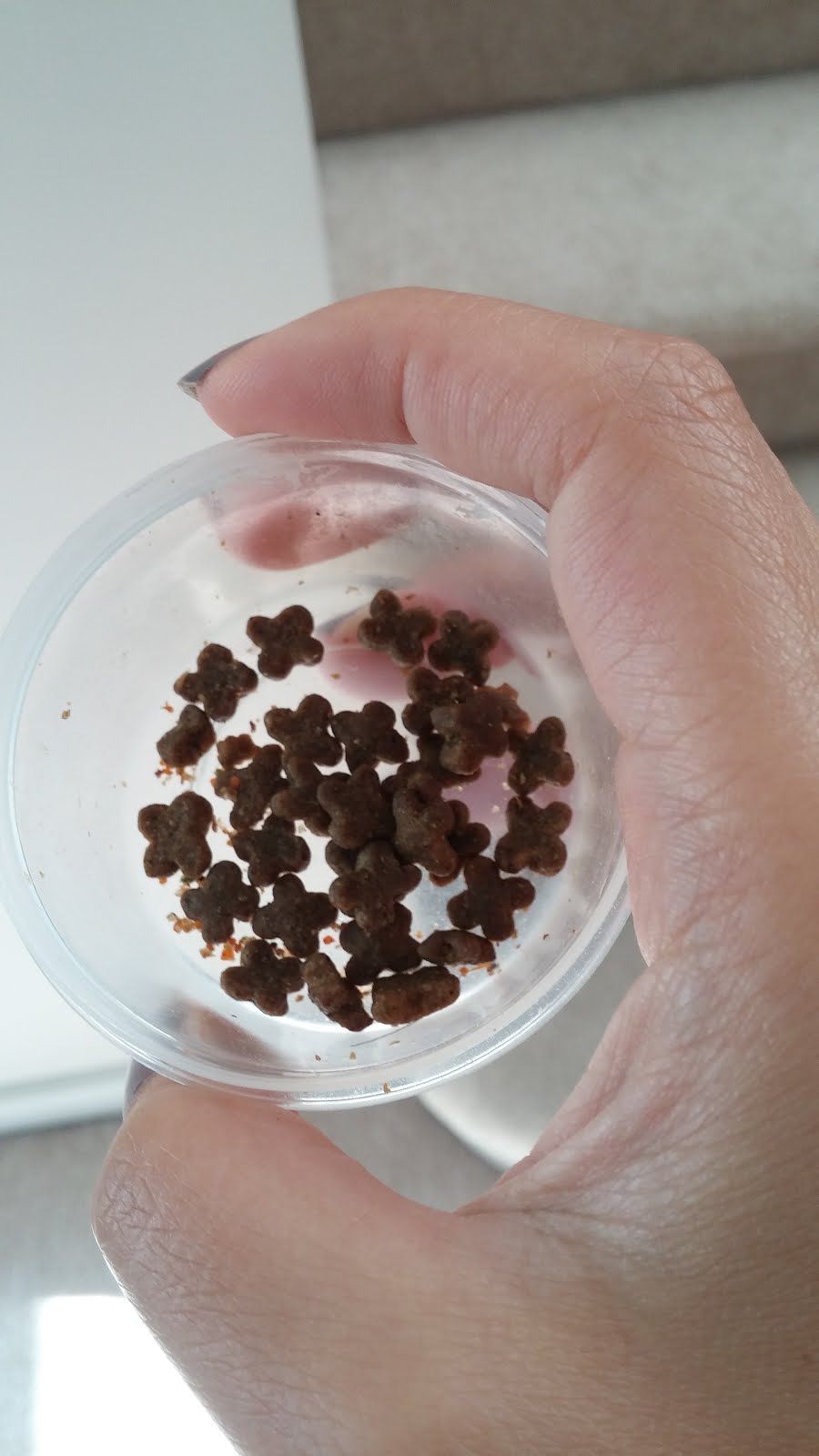 now fresh small breed puppy food