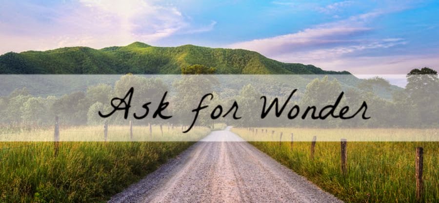 Ask for Wonder