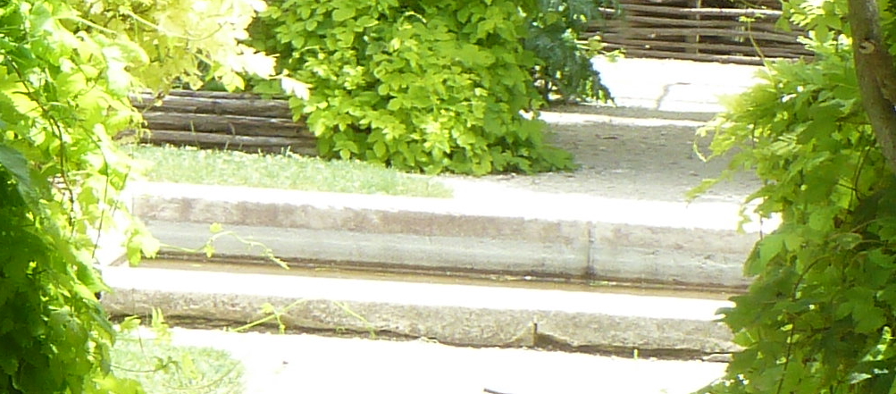 Gartenvorstellung 5 Teil 1 Die Beetanlangen An Der Sudseite Des