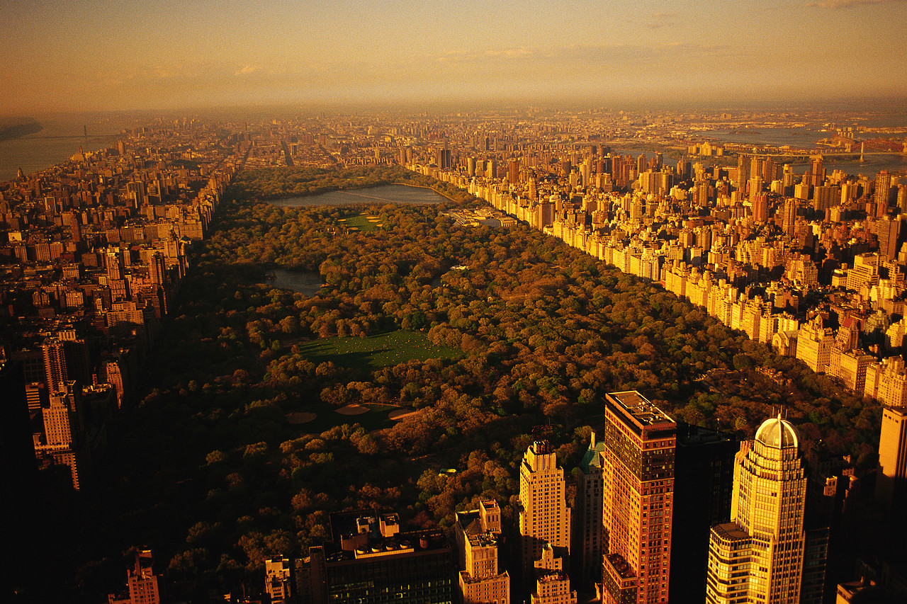 [Image: New_York_from_Airplane.jpg]