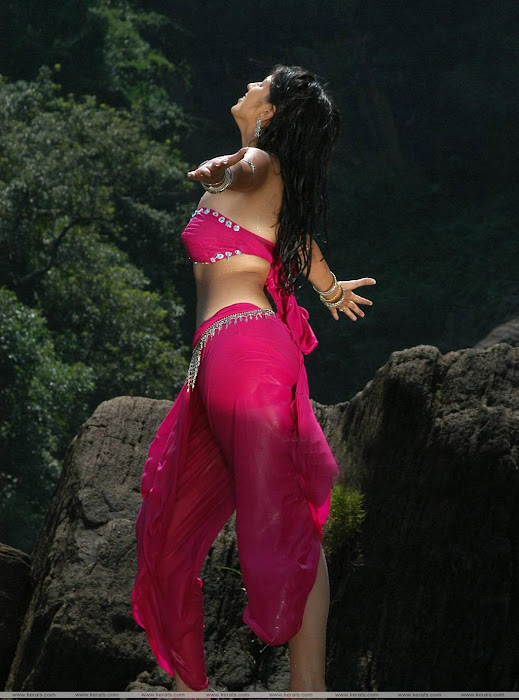 lakshmi rai figure in dress very glamour  images