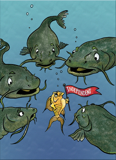 Small fish big pond dating