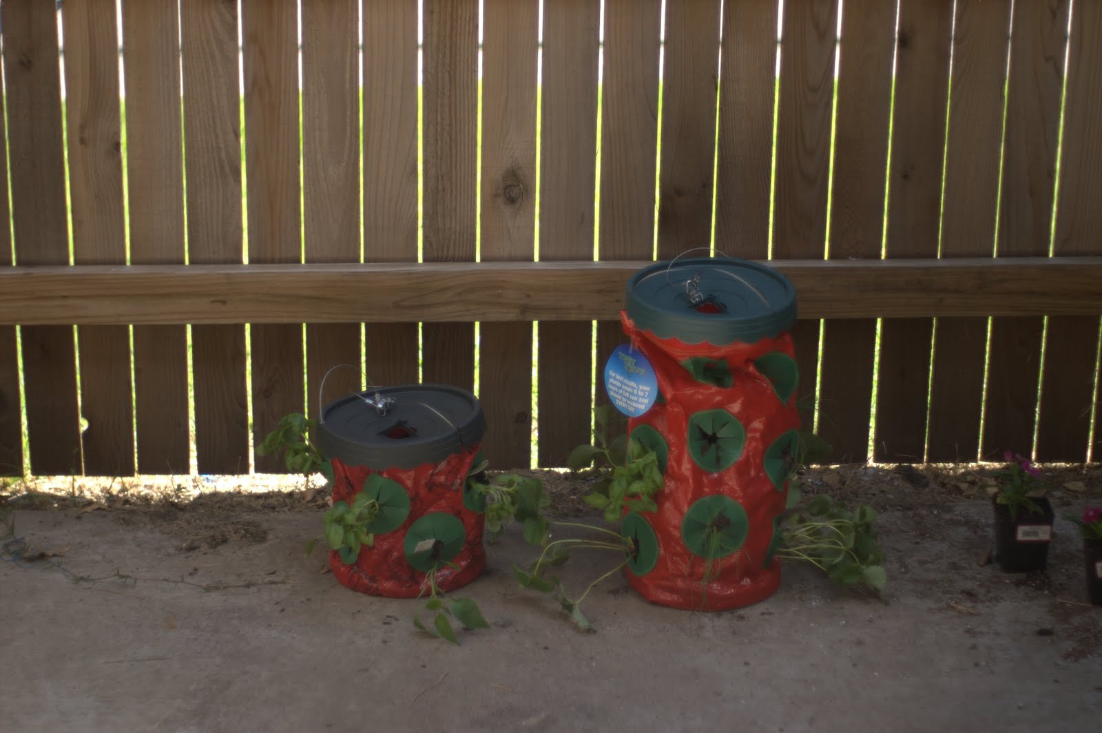 EveryDay Dreams Patio Pulley System