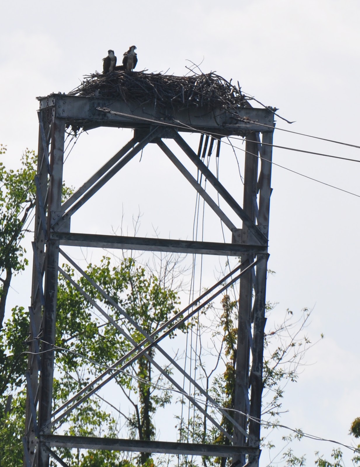My Kayuta Lake Montezuma National Wildlife Refuge