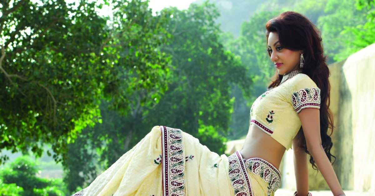 Fashionable  New Sarees Catalog Collections For 2013