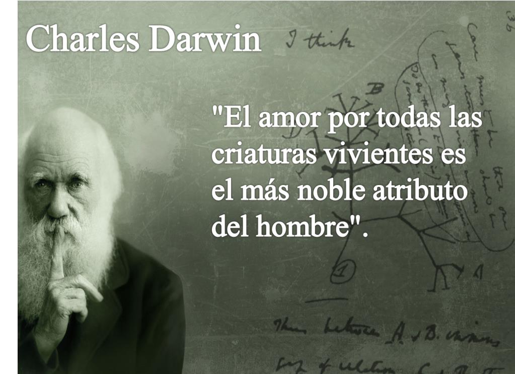 Enigmas del pensamiento metamorfico. CHARLES DARWIN.