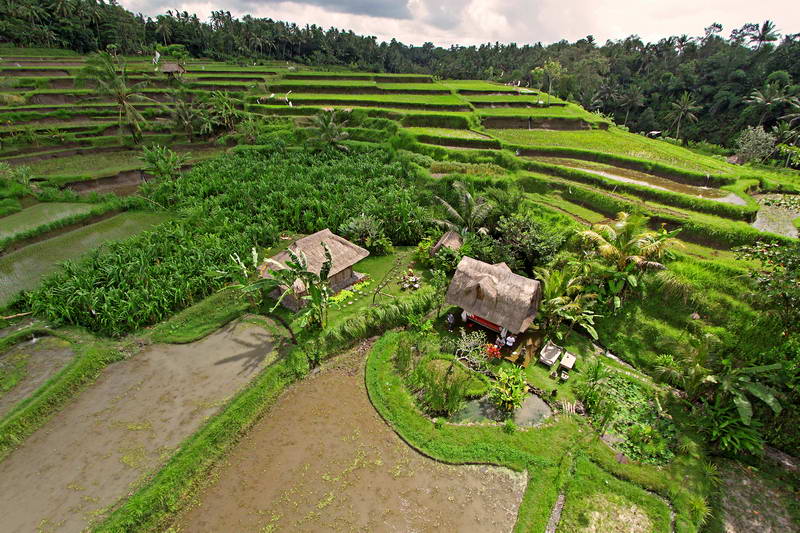 AERIAL PHOTOGRAPHY,AERIAL VIDEOGRAPHY,VIDEO UDARA,PHOTO ...