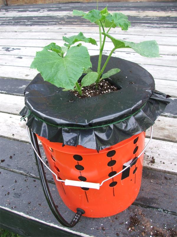 Wasilla Alaska Garden Adventures Build Your Own Alaska Grow Buckets