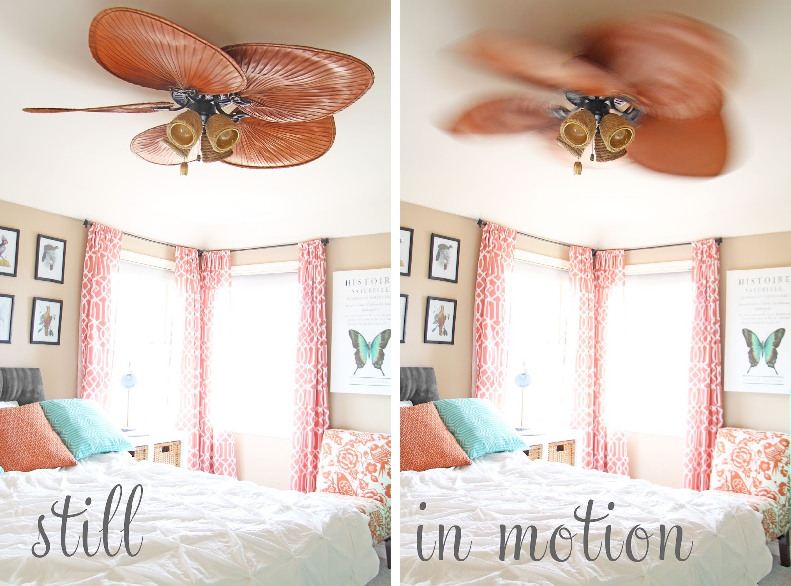 Grosgrain Crazy Amazing Ugly Ceiling Fan 35 Makeover