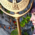 Saint Seiya Cosplays