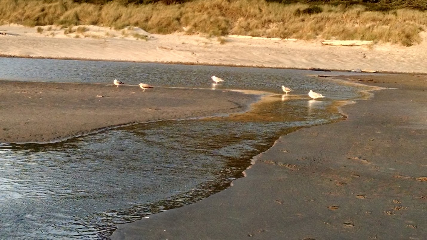 Silver Valley Stories Sibling Assignment 2015.16 Stepping It Up This