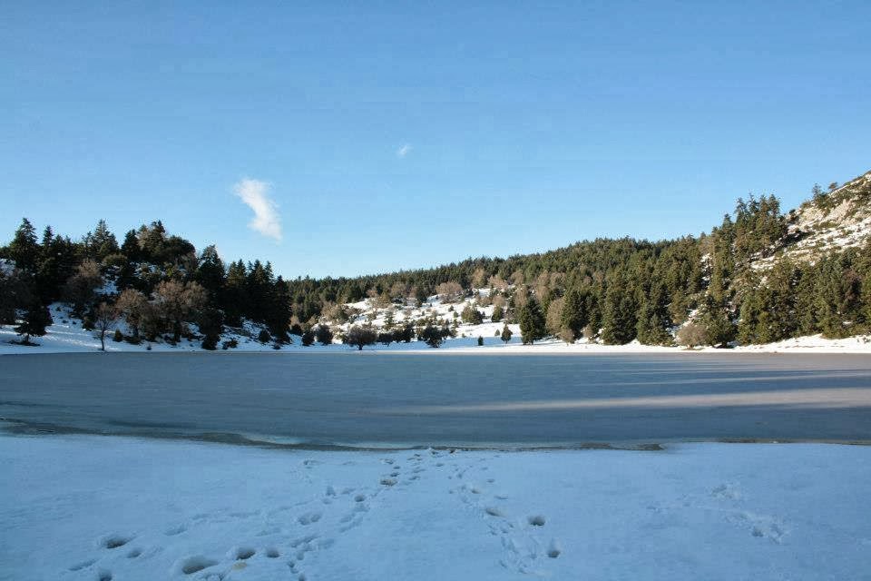 Παλαιοχώρι Δωριέων _ Καλλίδρομο