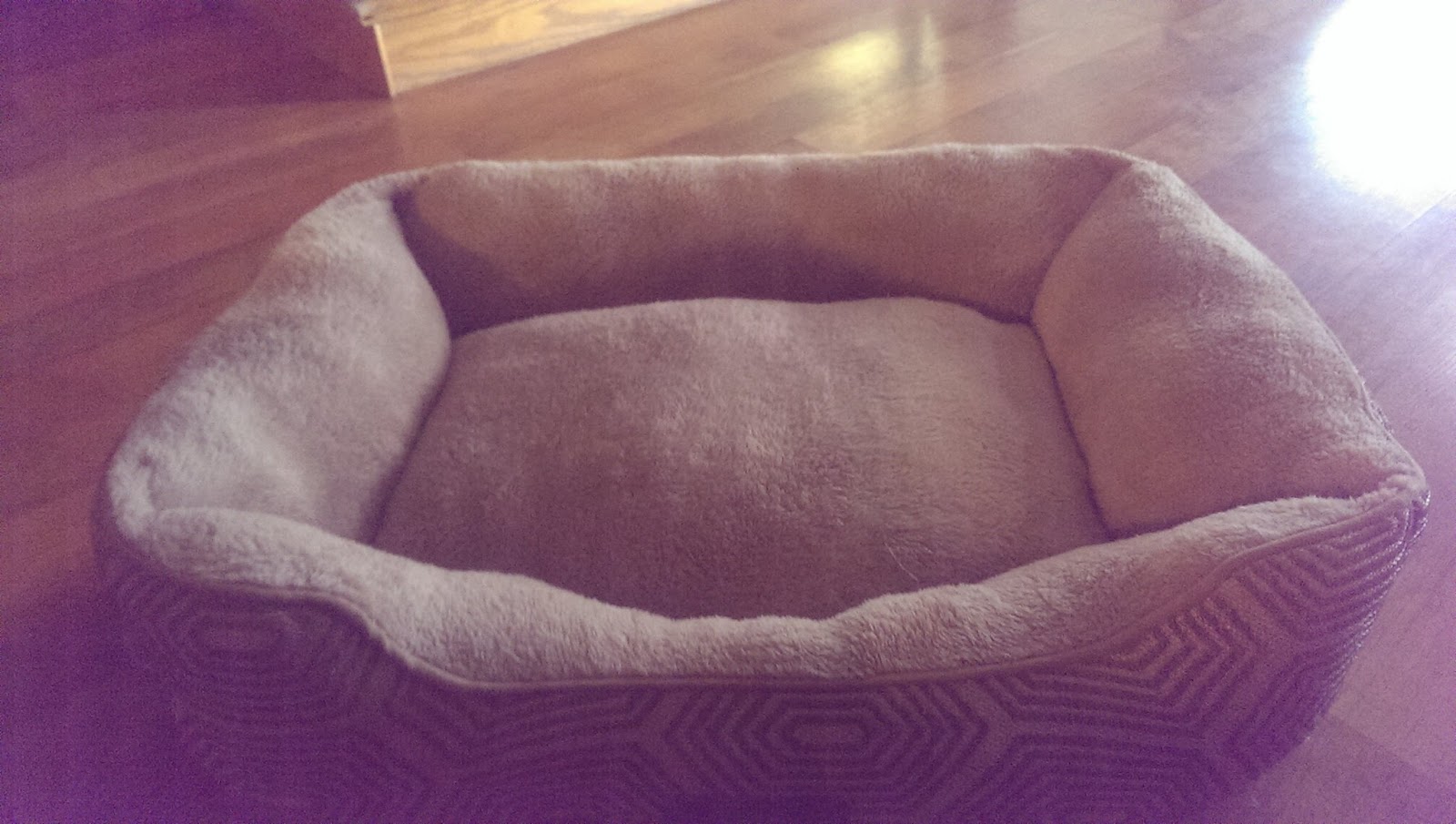 Not Just Another Southern Gal Comfy Pooch Plush Soft Pet Bed Review