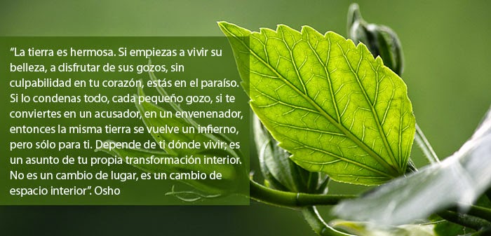 Alma Violeta": SUFRIMIENTO Y EL FINAL DEL SUFRIMIENTO. ECKHART TOLLE (EL  SILENCIO HABLA)