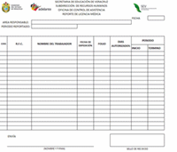 NUEVO FORMATO DE REPORTE DE LICENCIAS