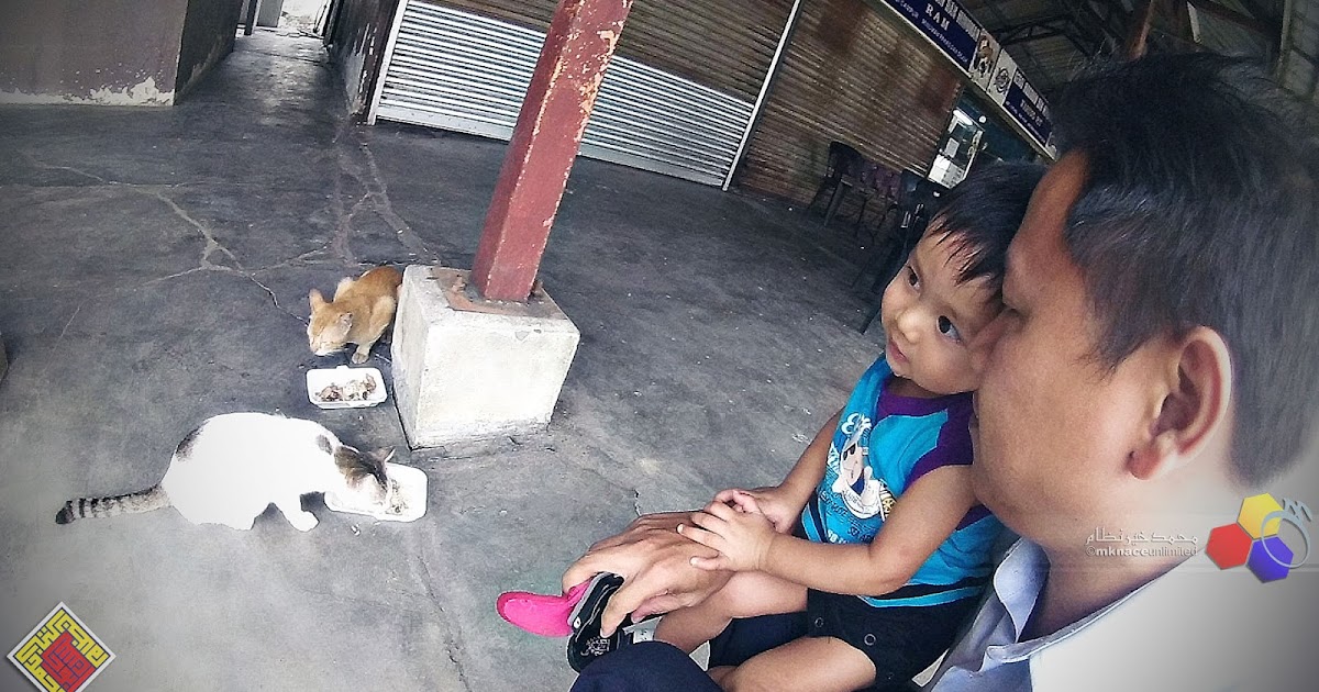 Mknace Unlimited The Colours Of Life