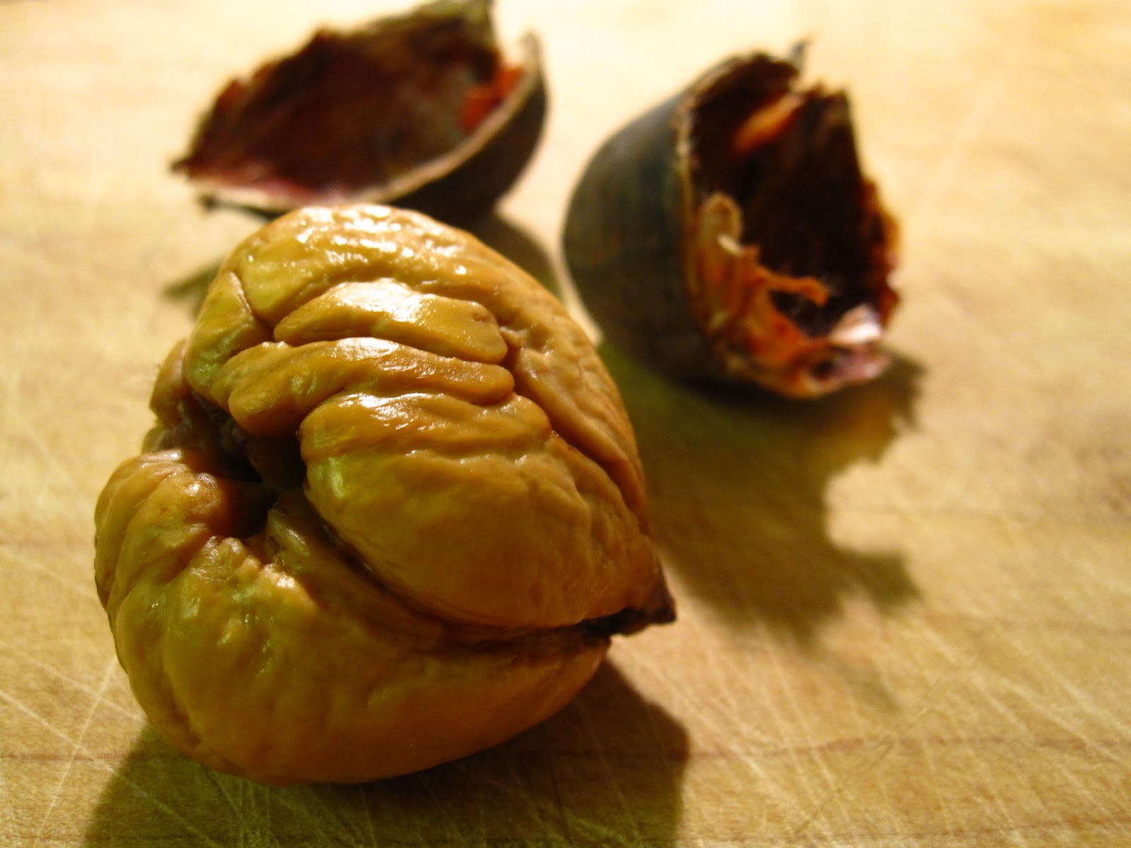 Edible biology: Vegan mushroom chestnut pate and vegan squash ravioli