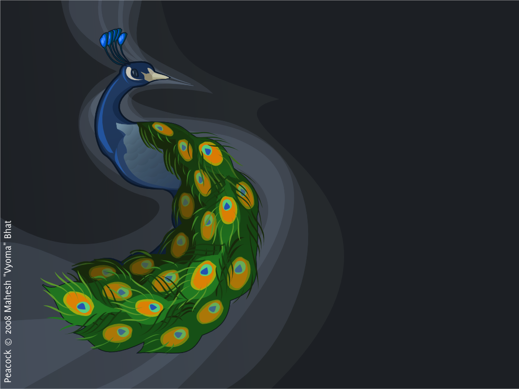 Black Peacock Feather Wallpaper