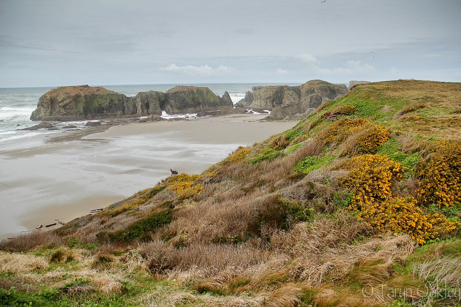 Bandon Tide Chart