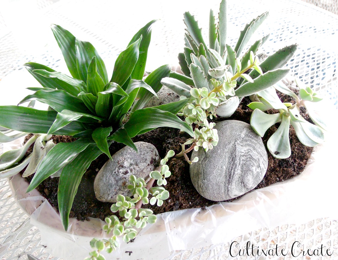 Cultivate Create DIY Dough Bowl Succulent Planter