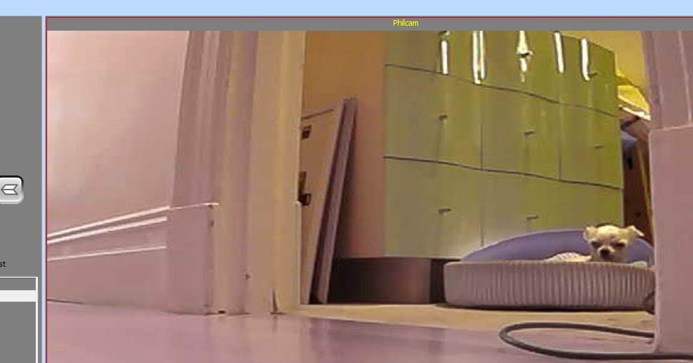 Small Animal Talk What does your dog do when you leave the house?