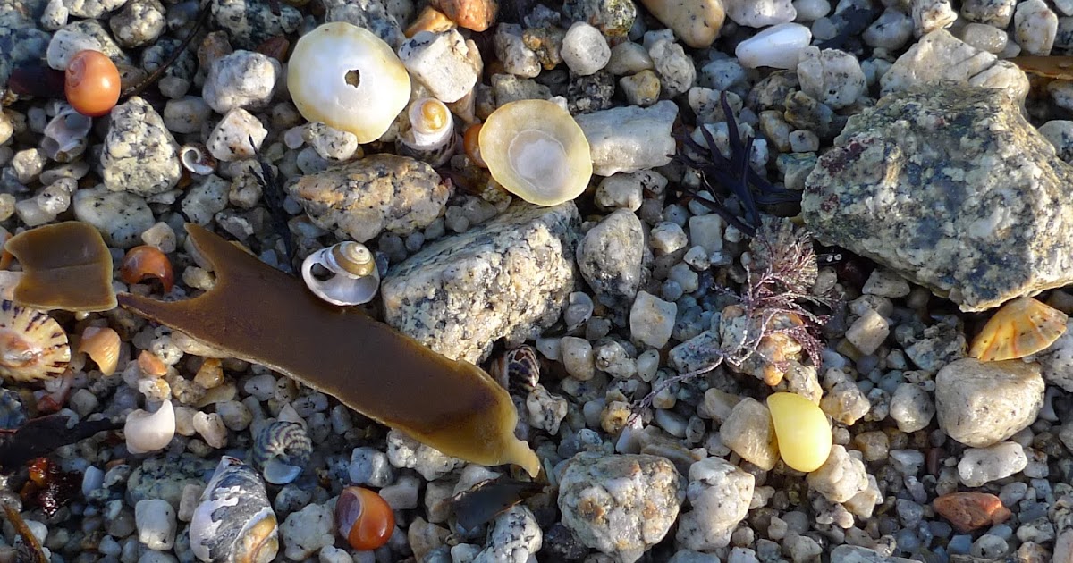 Simplicity is the New Black A New Sea Glass Beach