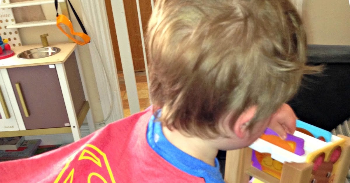 tidlo animal sorting cube