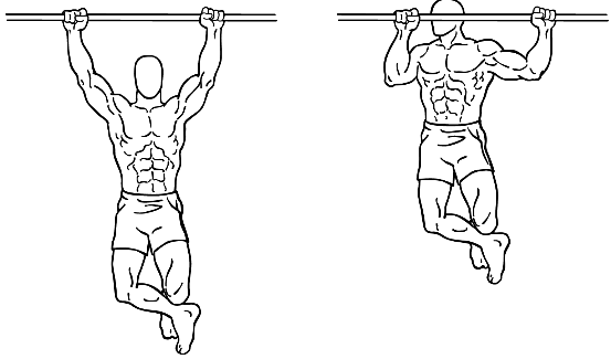 Climber+Pull-ups.png